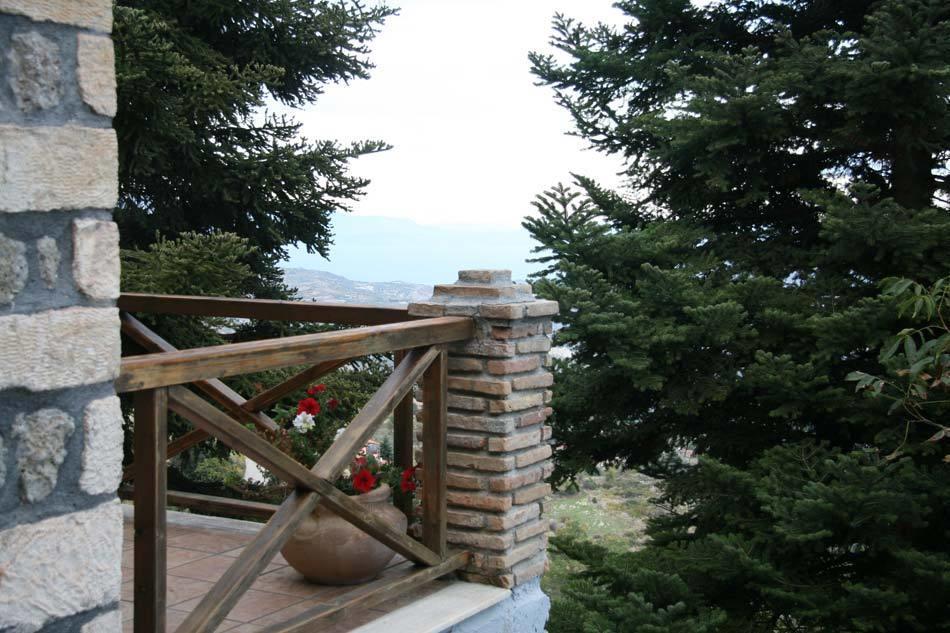 Pigi Tarlampa