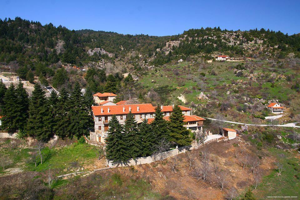 Pigi Tarlampa